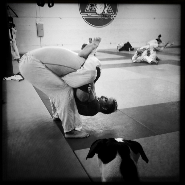 Hoff-flying_triangle